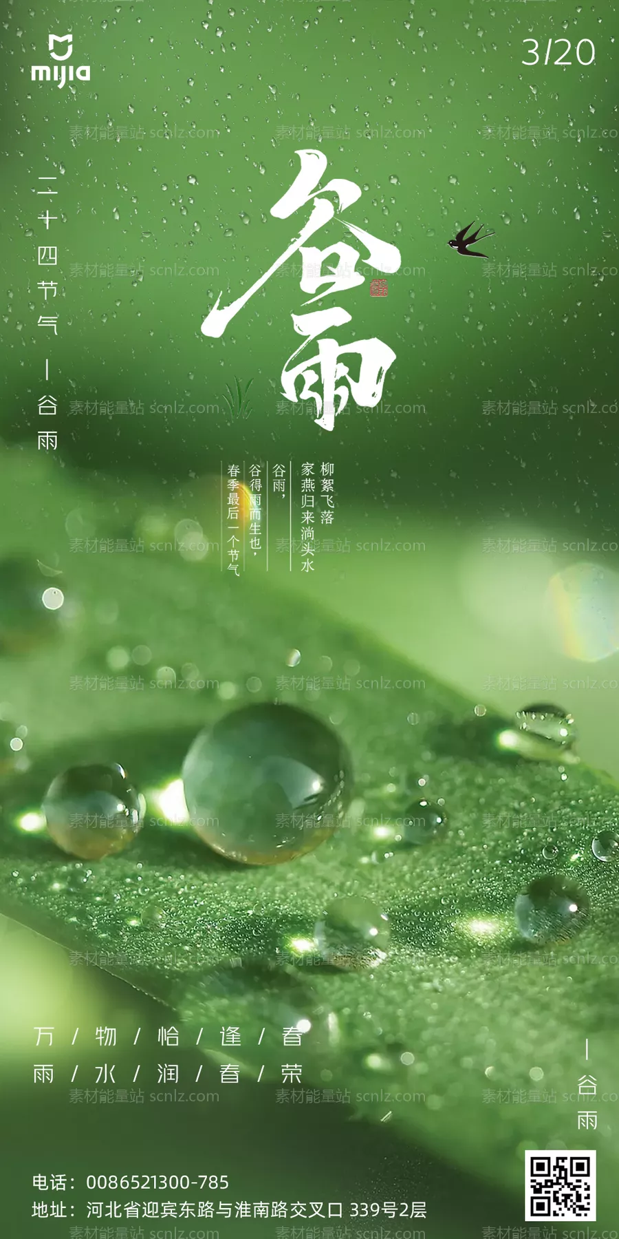 素材能量站-二十四节气谷雨海报