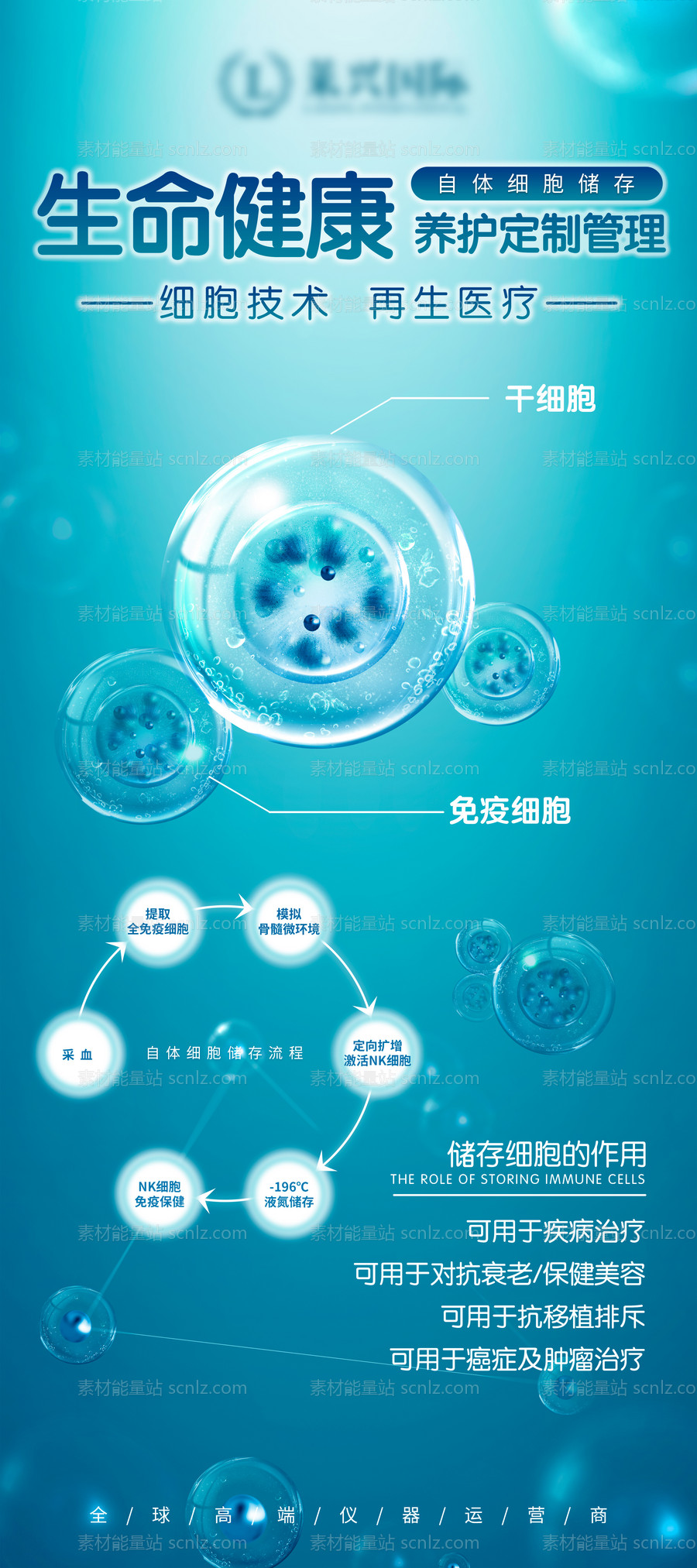 素材能量站-免疫细胞展架