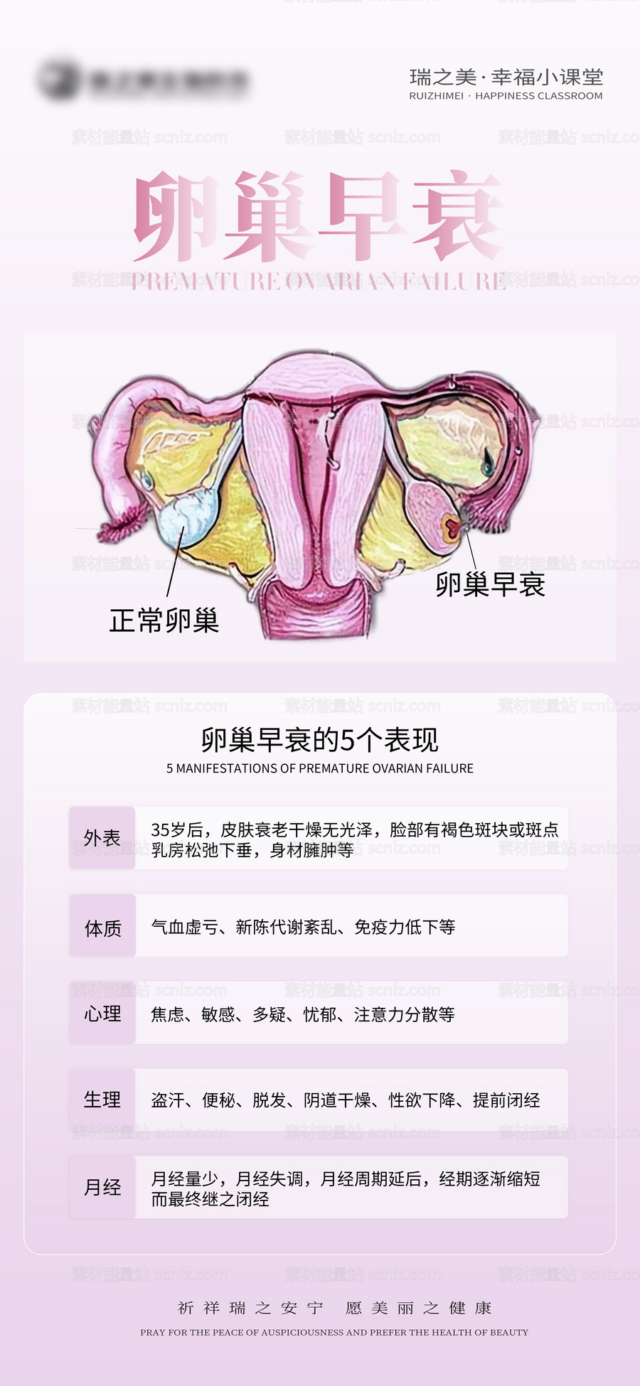 素材能量站-私密养护卵巢早衰