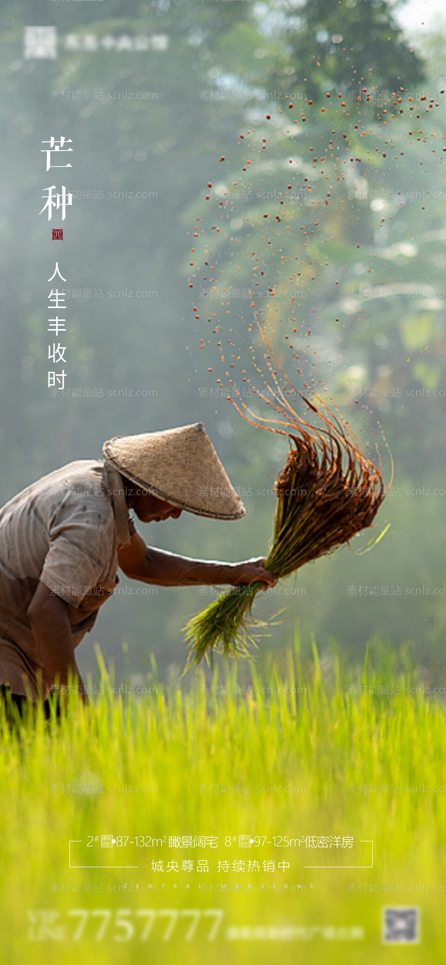 素材能量站-房地产芒种节气海报