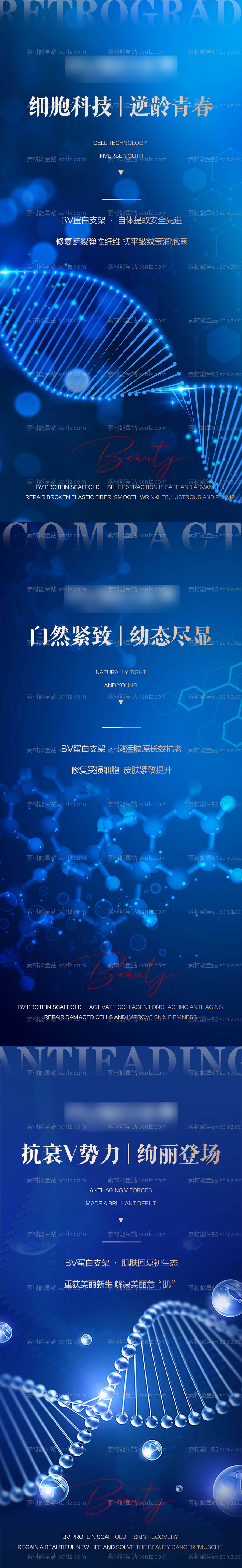 素材能量站-Bv蛋白支架科技系列海报