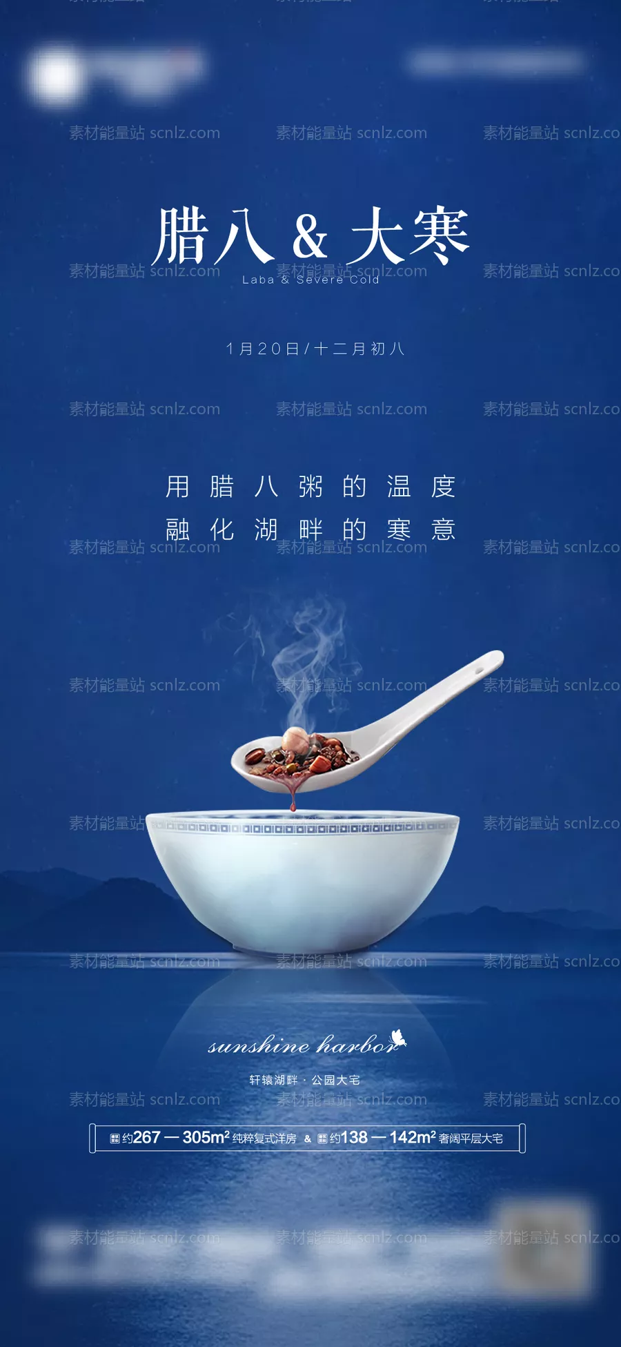 素材能量站-腊八大寒海报