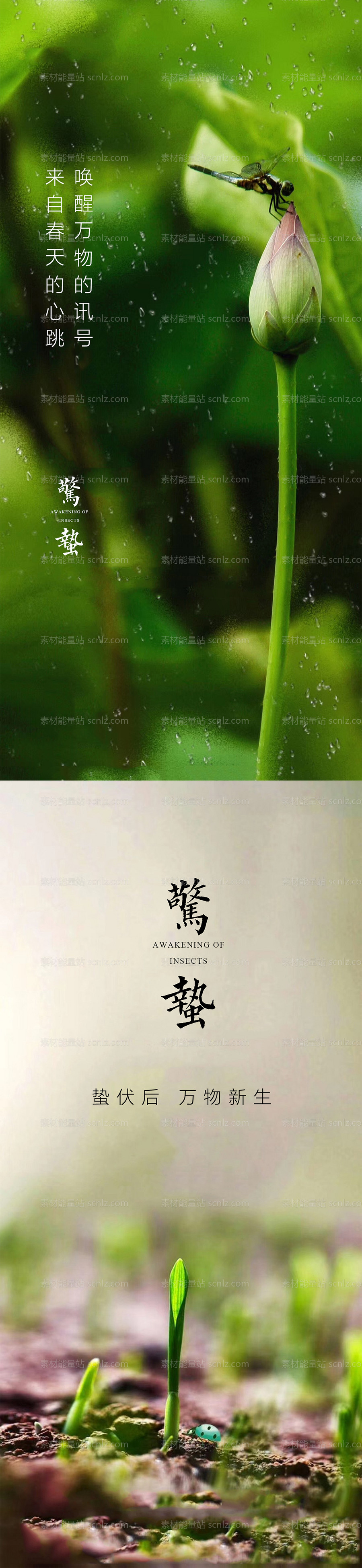 素材能量站-惊蛰节气海报