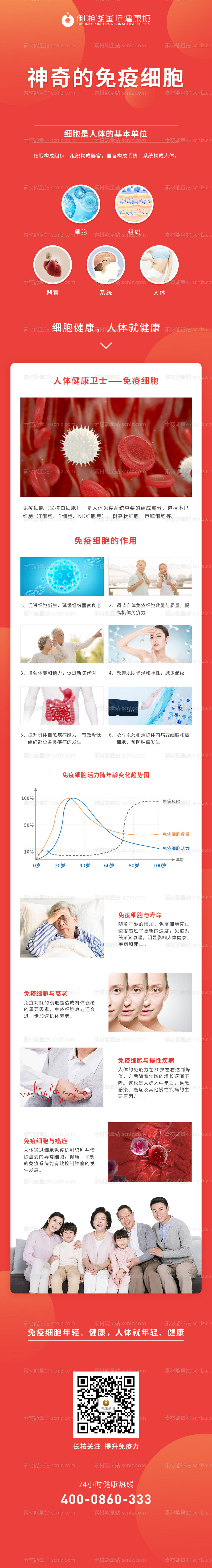 素材能量站-医学研究免疫细胞科普长图