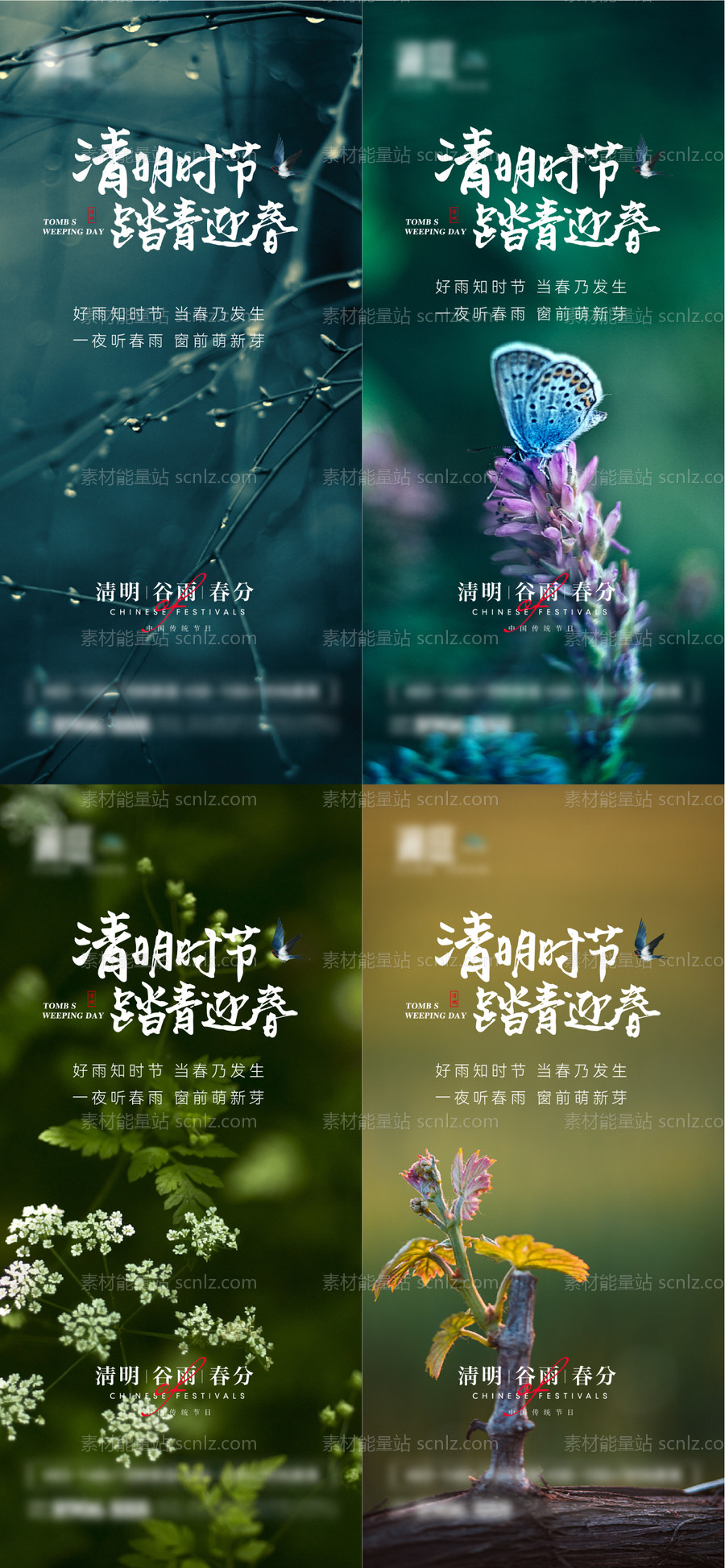 素材能量站-清明谷雨春分节气海报