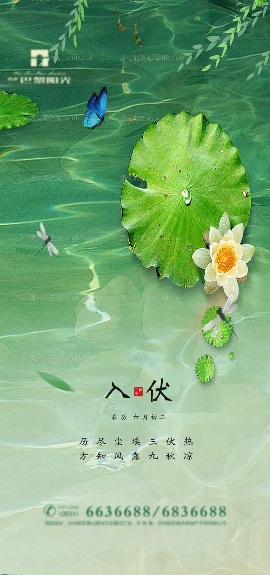 素材能量站-清爽初伏节气海报