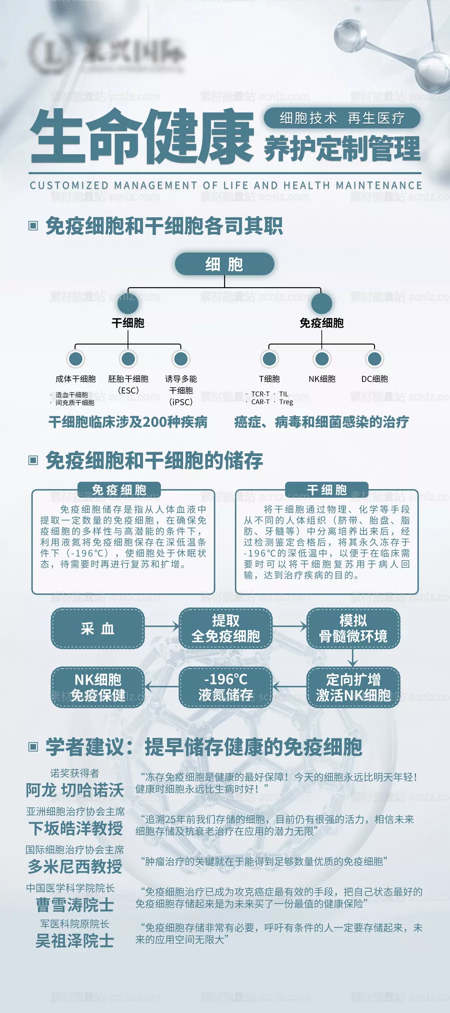 素材能量站-生命健康养护展架易拉宝