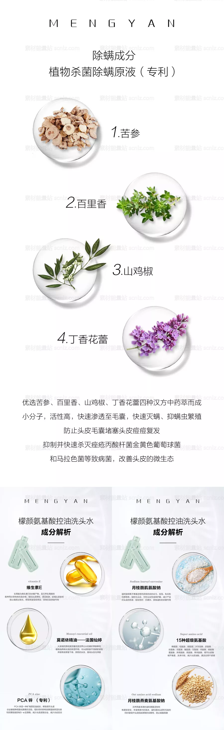 素材能量站-微商洗发水护发产品成分系列海报