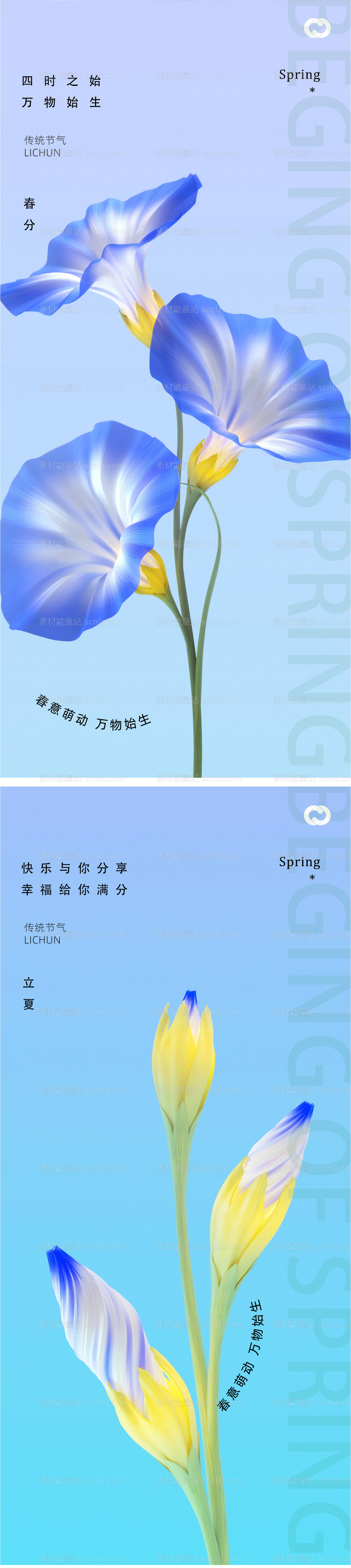 素材能量站-春分24节气喇叭花植物海报