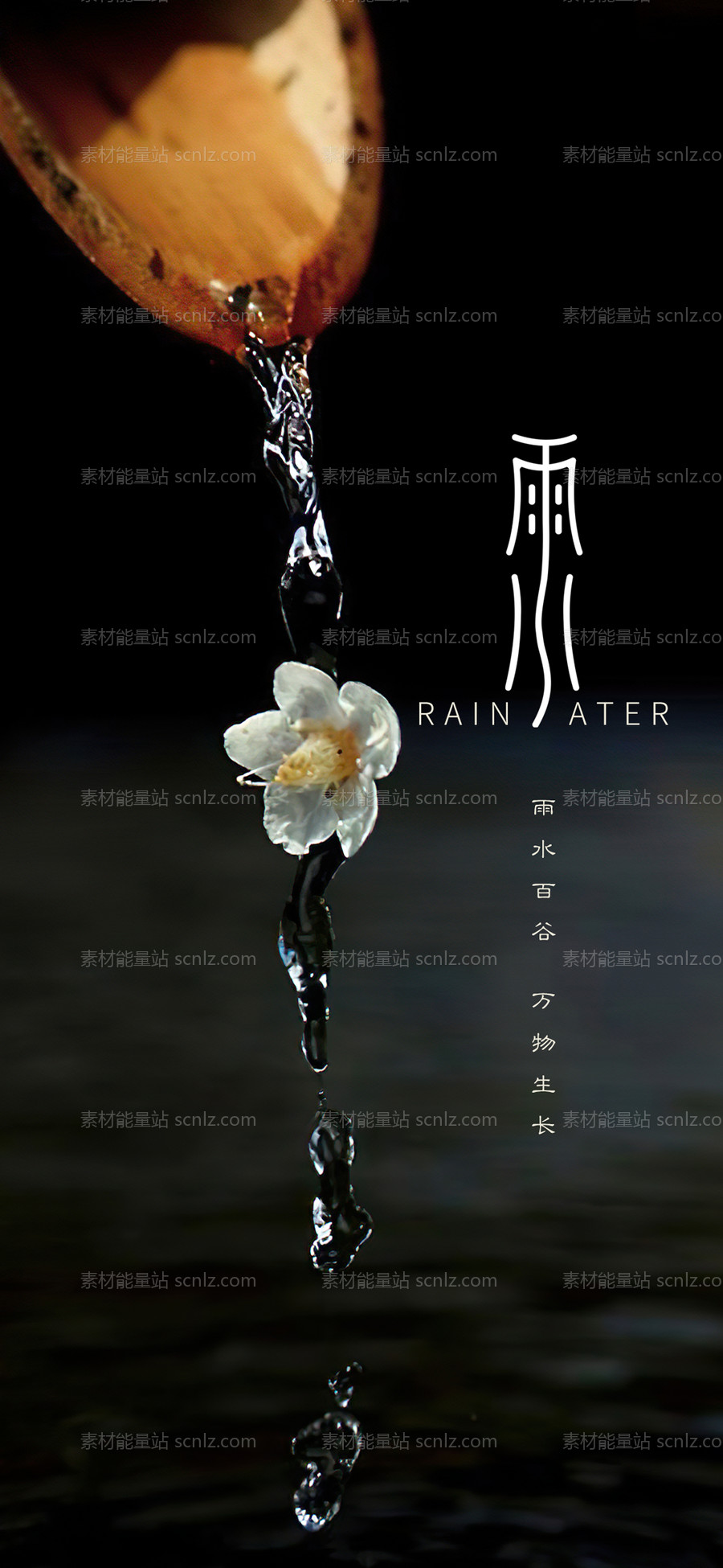 素材能量站-雨水节气海报