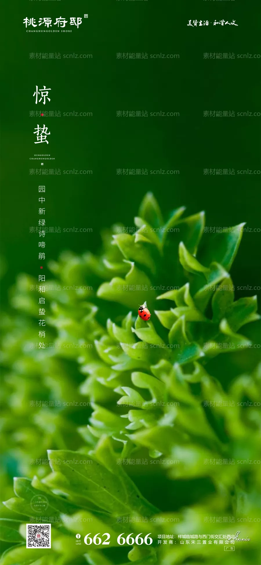 素材能量站-大气简洁绿色房地产惊蛰移动端海报