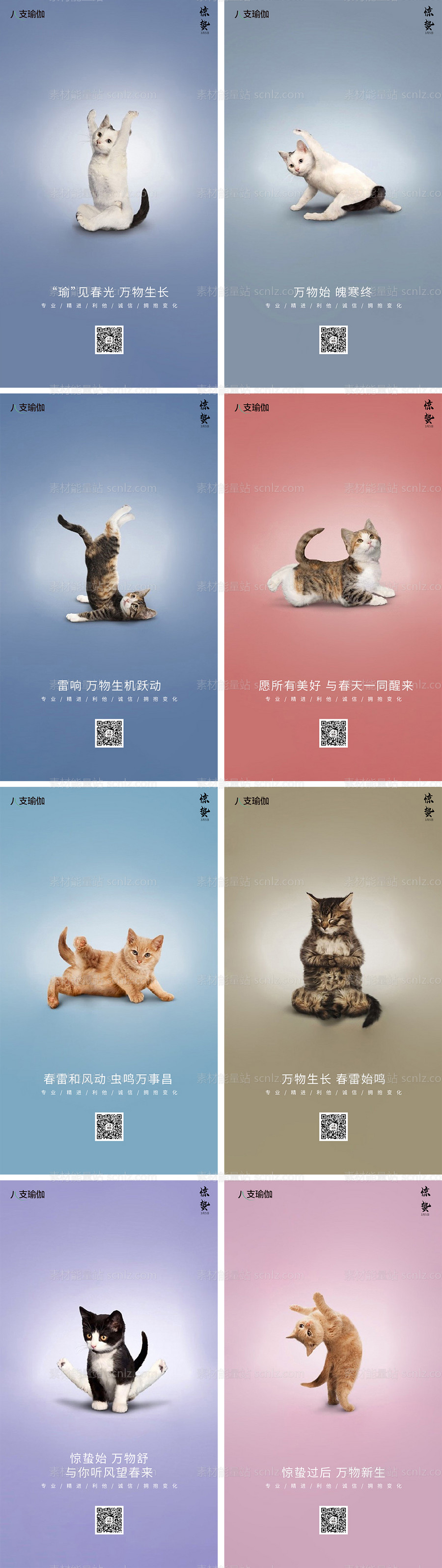 素材能量站-猫咪瑜伽惊蛰创意海报