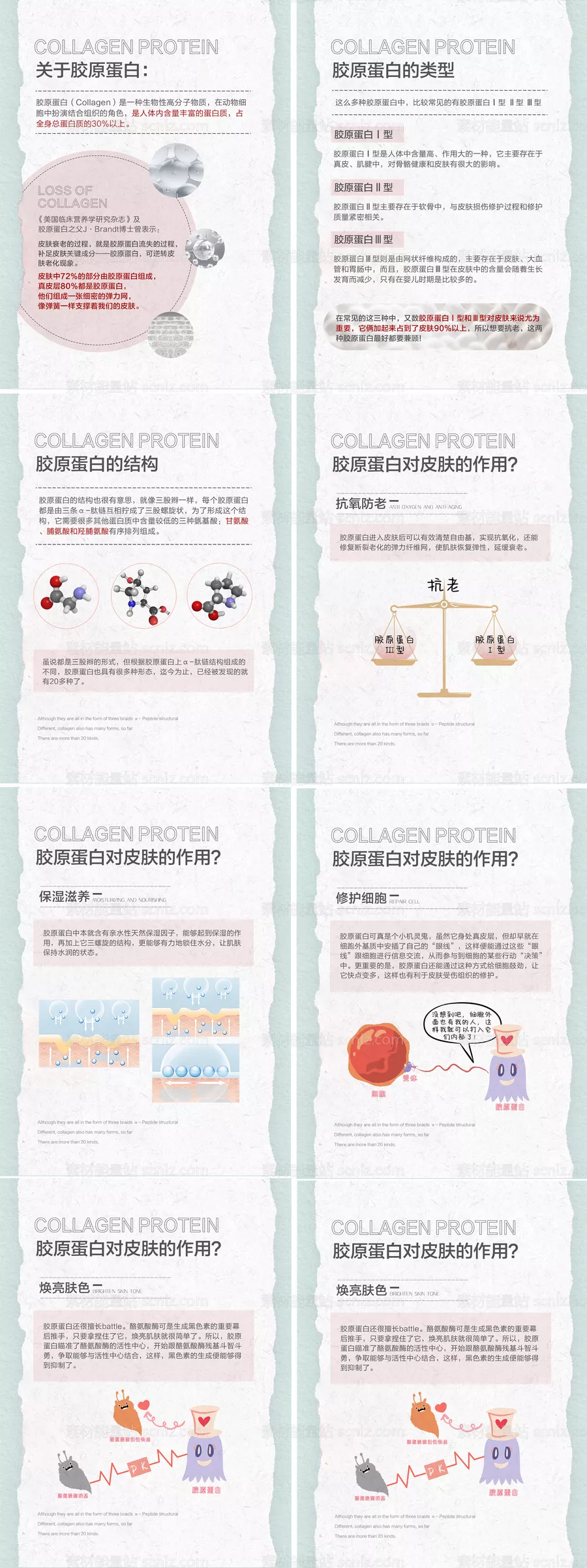 素材能量站-胶原蛋白小常识分享海报