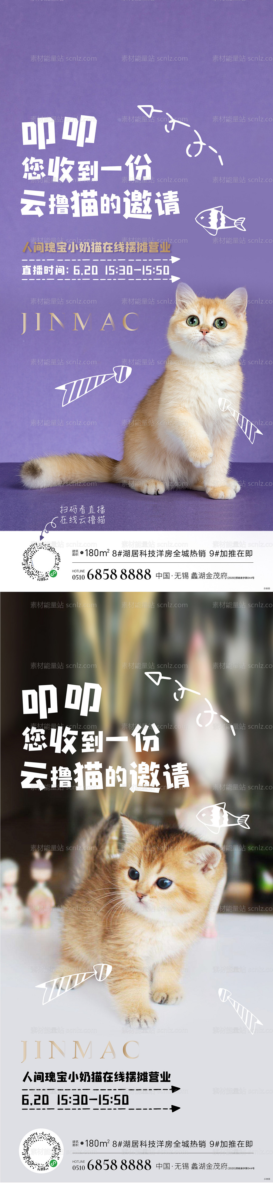 素材能量站-猫直播简约系列海报