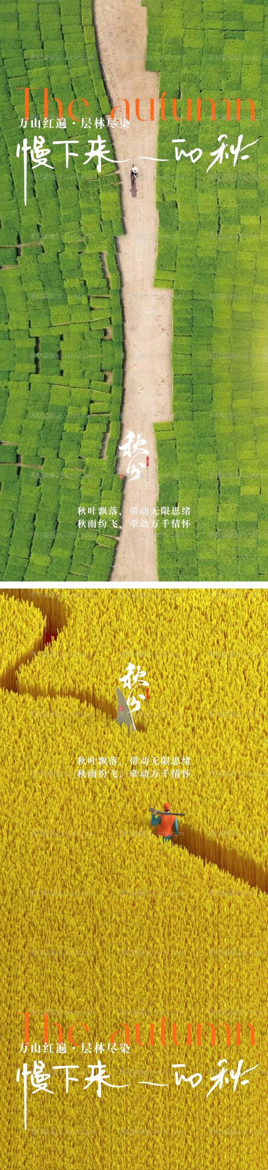 素材能量站-秋分节气海报