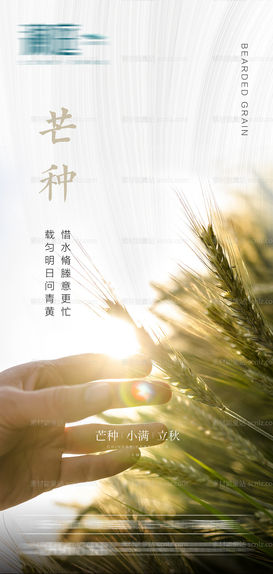 素材能量站-芒种节气海报