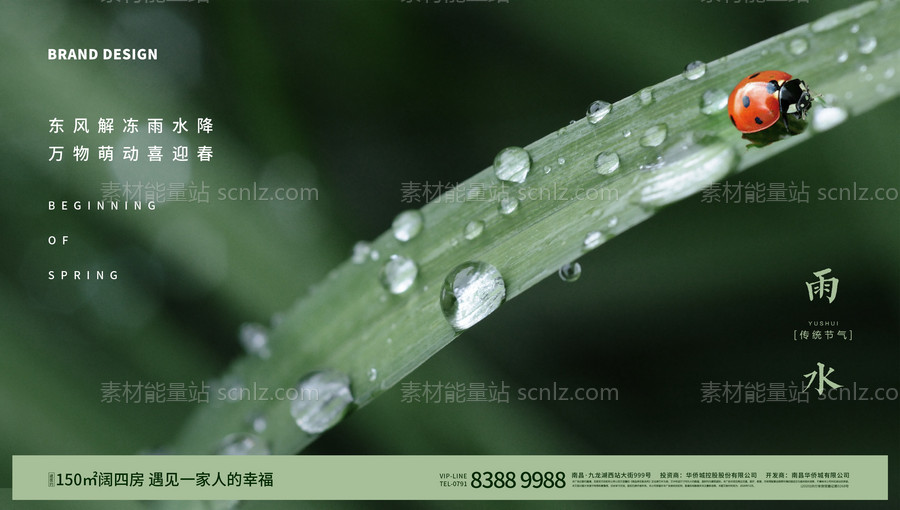 素材能量站-雨水节气微信