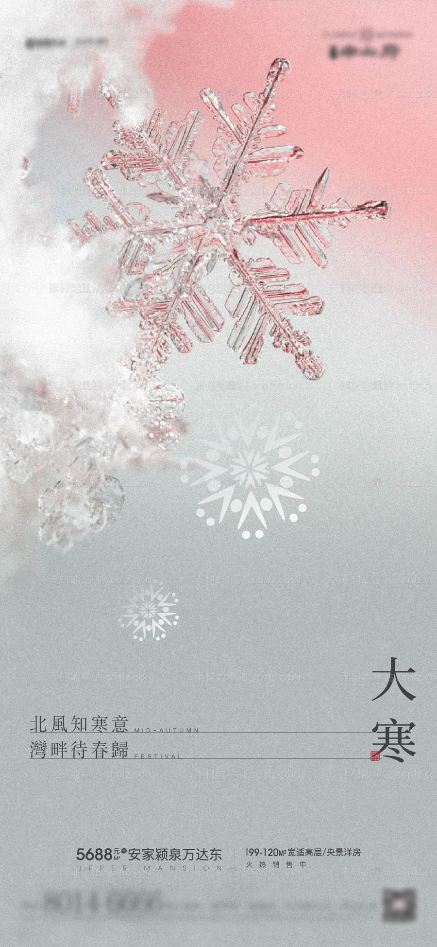 素材能量站-大寒雪花海报