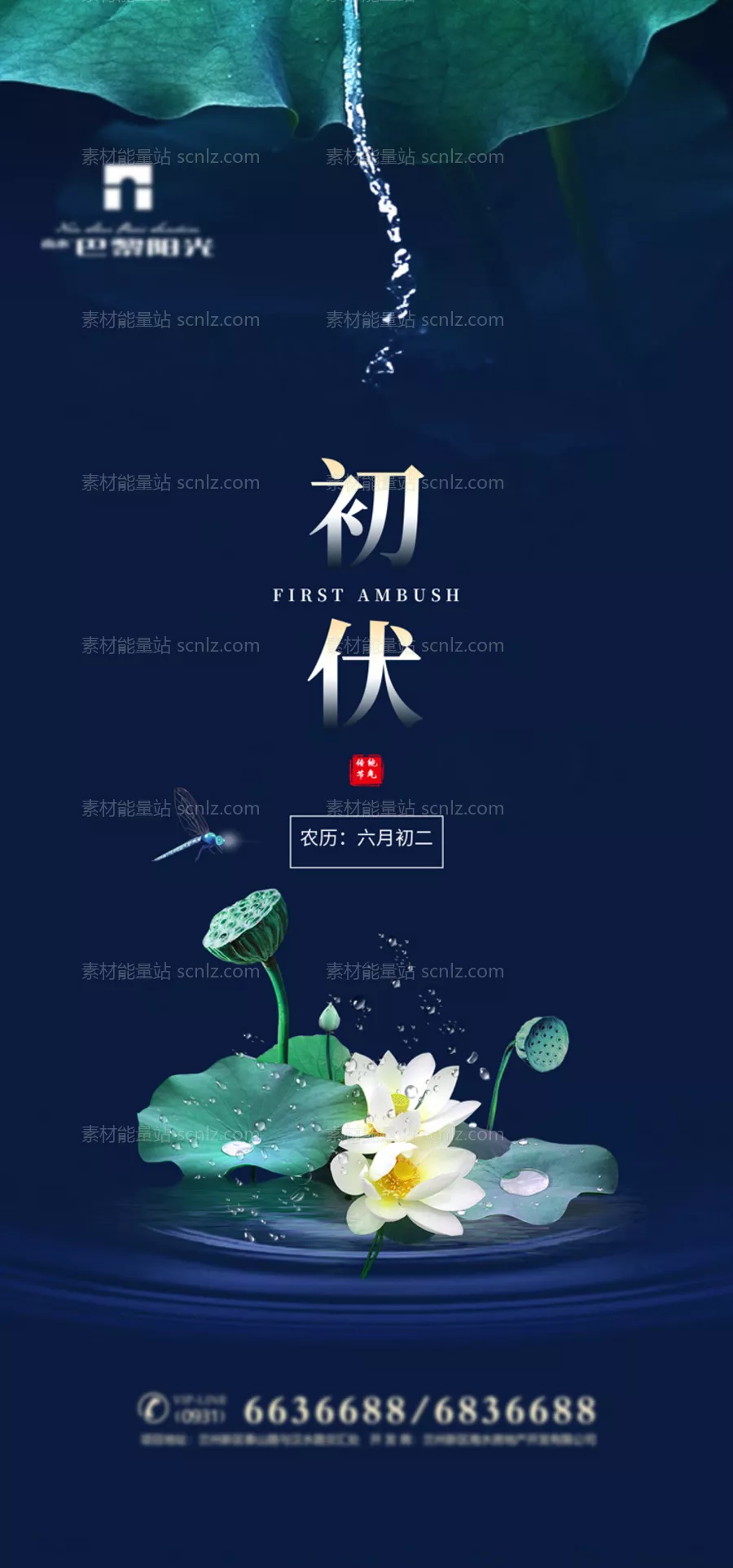 素材能量站-清爽初伏节气海报