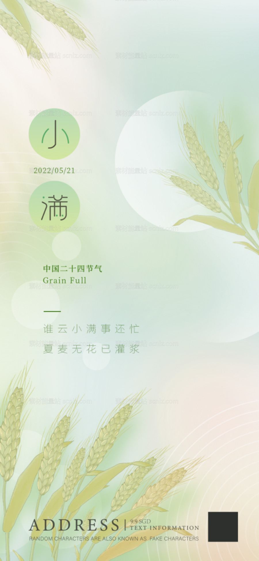 素材能量站-小满 节日 节气 绿色