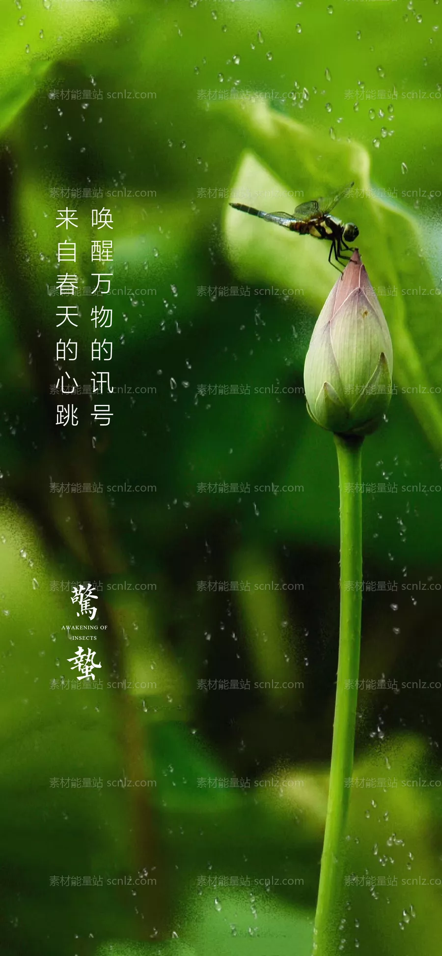 素材能量站-惊蛰 节气 立春