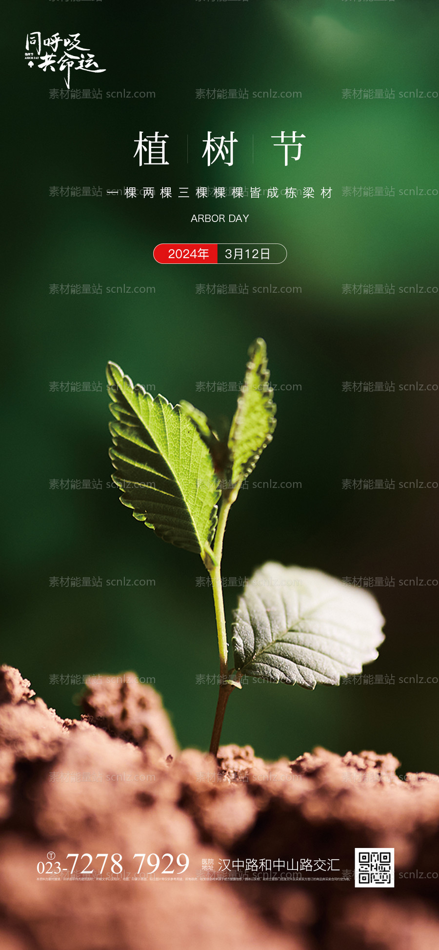 素材能量站-植树节