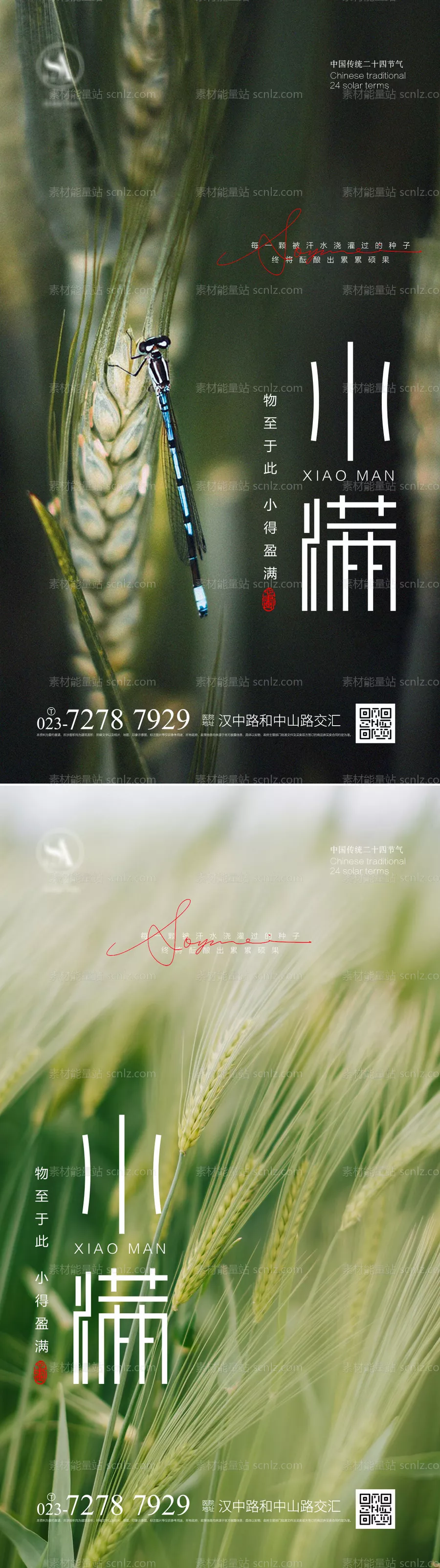 素材能量站-小满节气海报