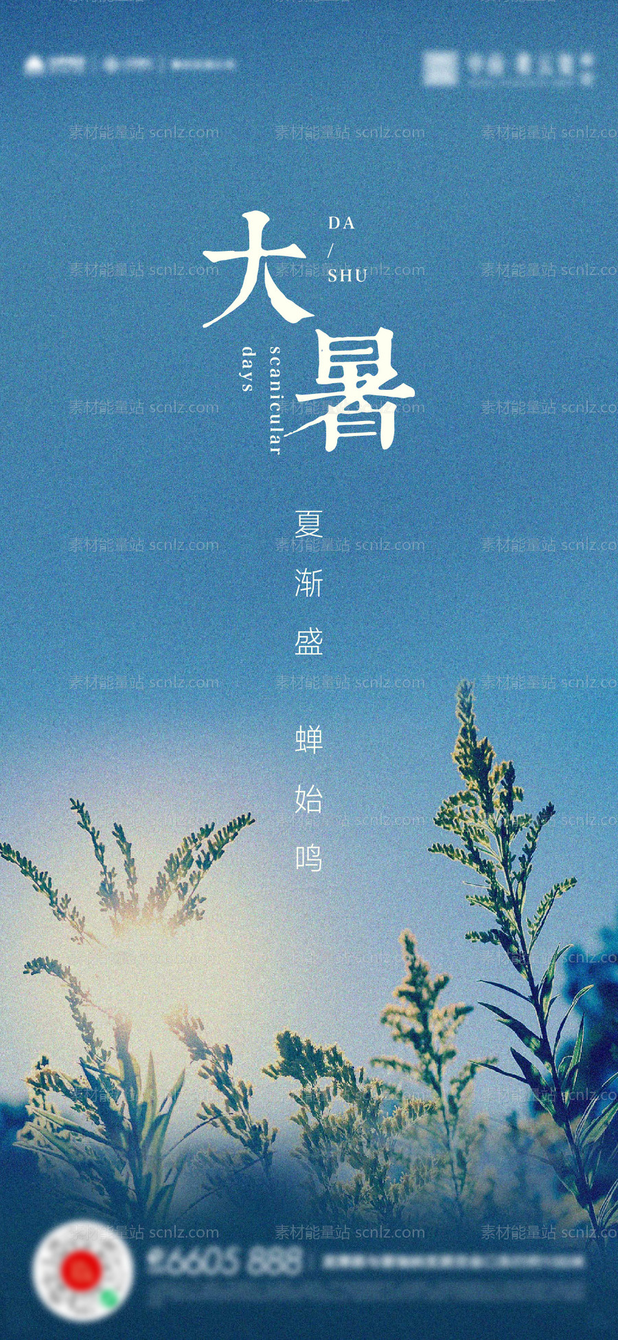 素材能量站-大暑小暑夏至立夏海报