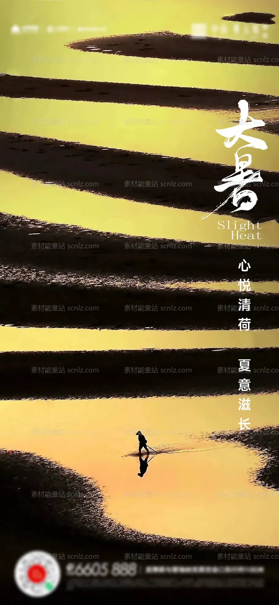 素材能量站-大暑小暑夏至立夏海报