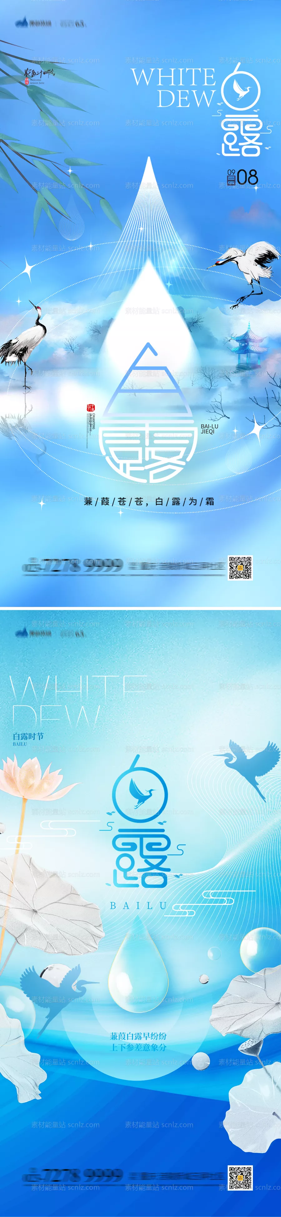 素材能量站-白露节气海报
