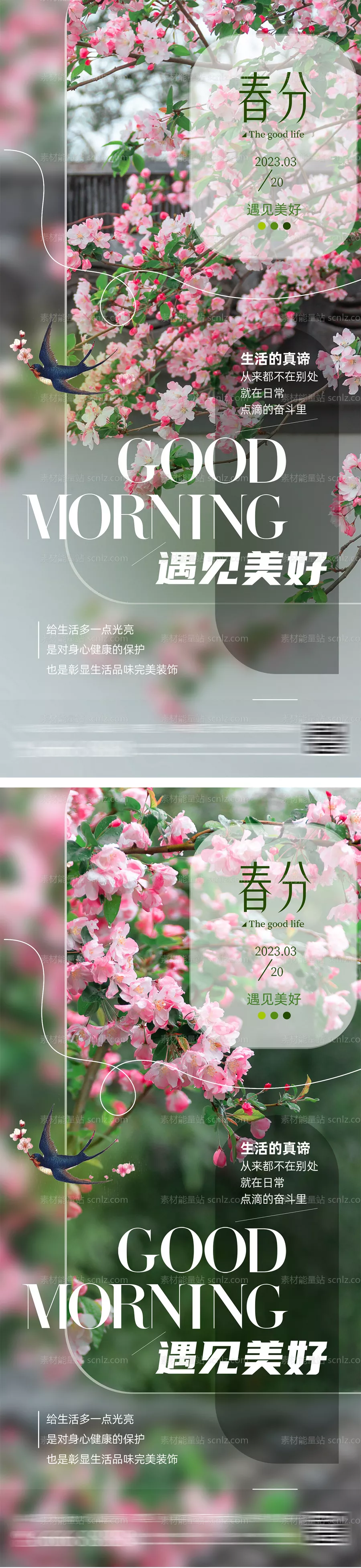 素材能量站-春分桃花节气海报