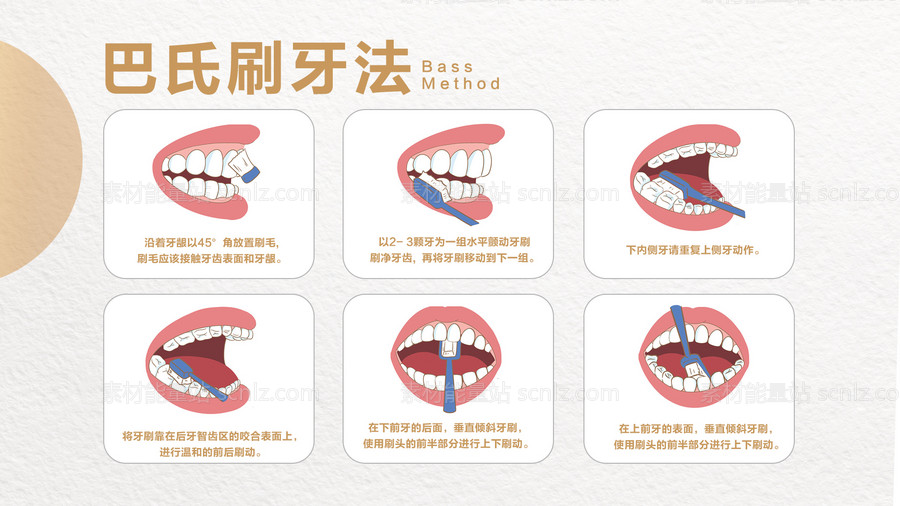 素材能量站-巴氏刷牙法