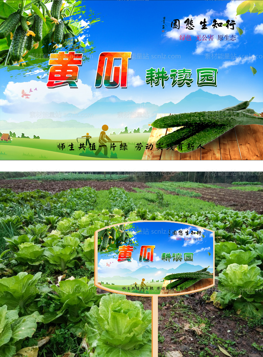 素材能量站-校园蔬菜黄瓜花草牌耕读园学校