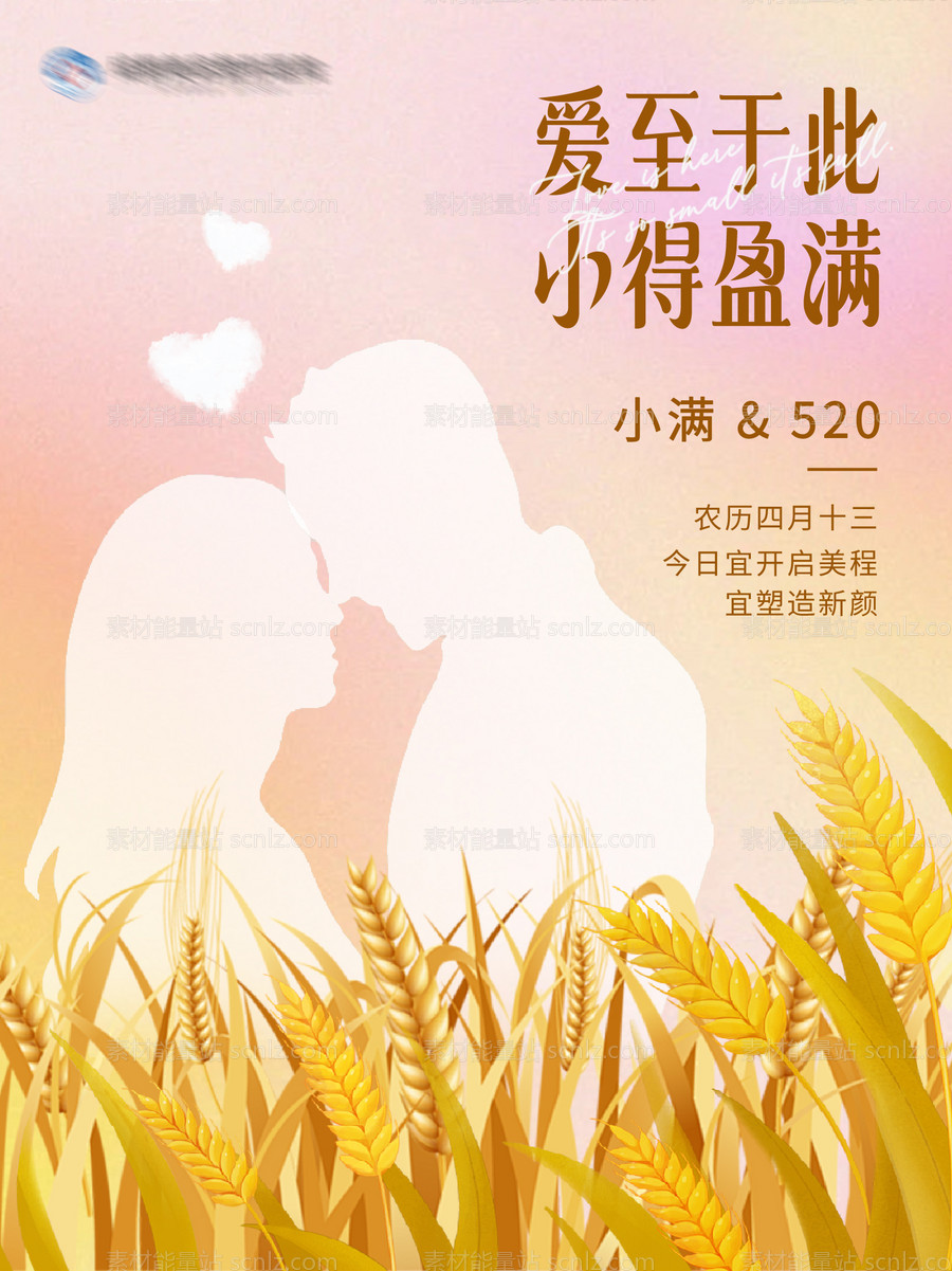 素材能量站-医美小满节气520节日创意海报