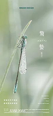 素材能量站-惊蛰节气微信海报