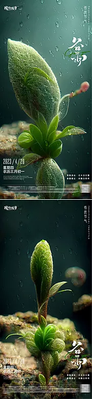 素材能量站-谷雨节气海报