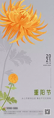 素材能量站-重阳节感恩父母菊花手绘插画创意海报