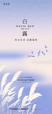 素材能量站-白露节气海报