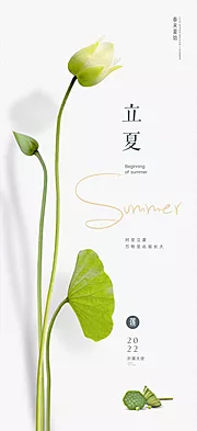 素材能量站-二十四节气立夏节日海报