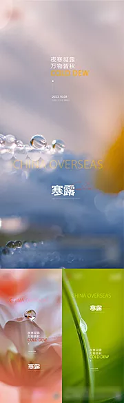 素材能量站-地产寒露节气海报