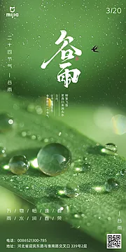 素材能量站-二十四节气谷雨海报