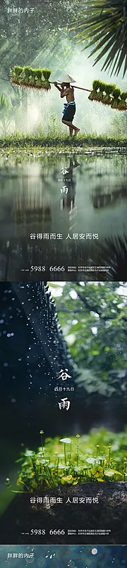 素材能量站-谷雨节气系列海报