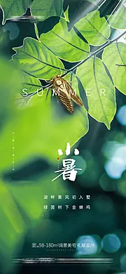 素材能量站-小暑节气海报