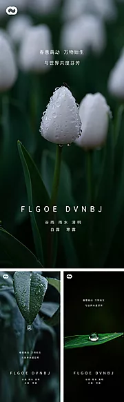 素材能量站-雨水谷雨清明白露寒露系列海报