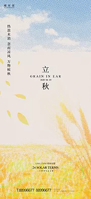 素材能量站-立秋