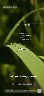 素材能量站-白露节气海报