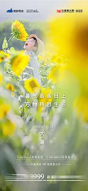 素材能量站-大暑节气海报