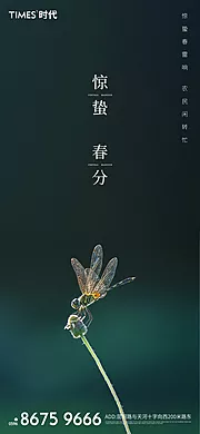 素材能量站-惊蛰春分海报