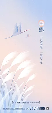 素材能量站-白露节气海报