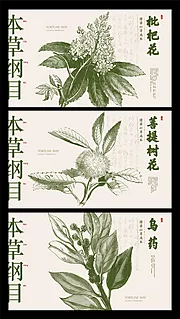 素材能量站-本草纲目中药展板